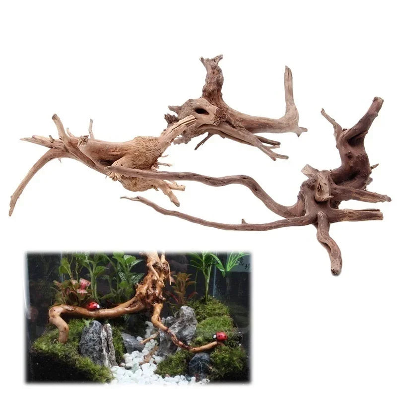 Natural Driftwood Tree Trunk Decor for Aquariums and Reptile Tanks