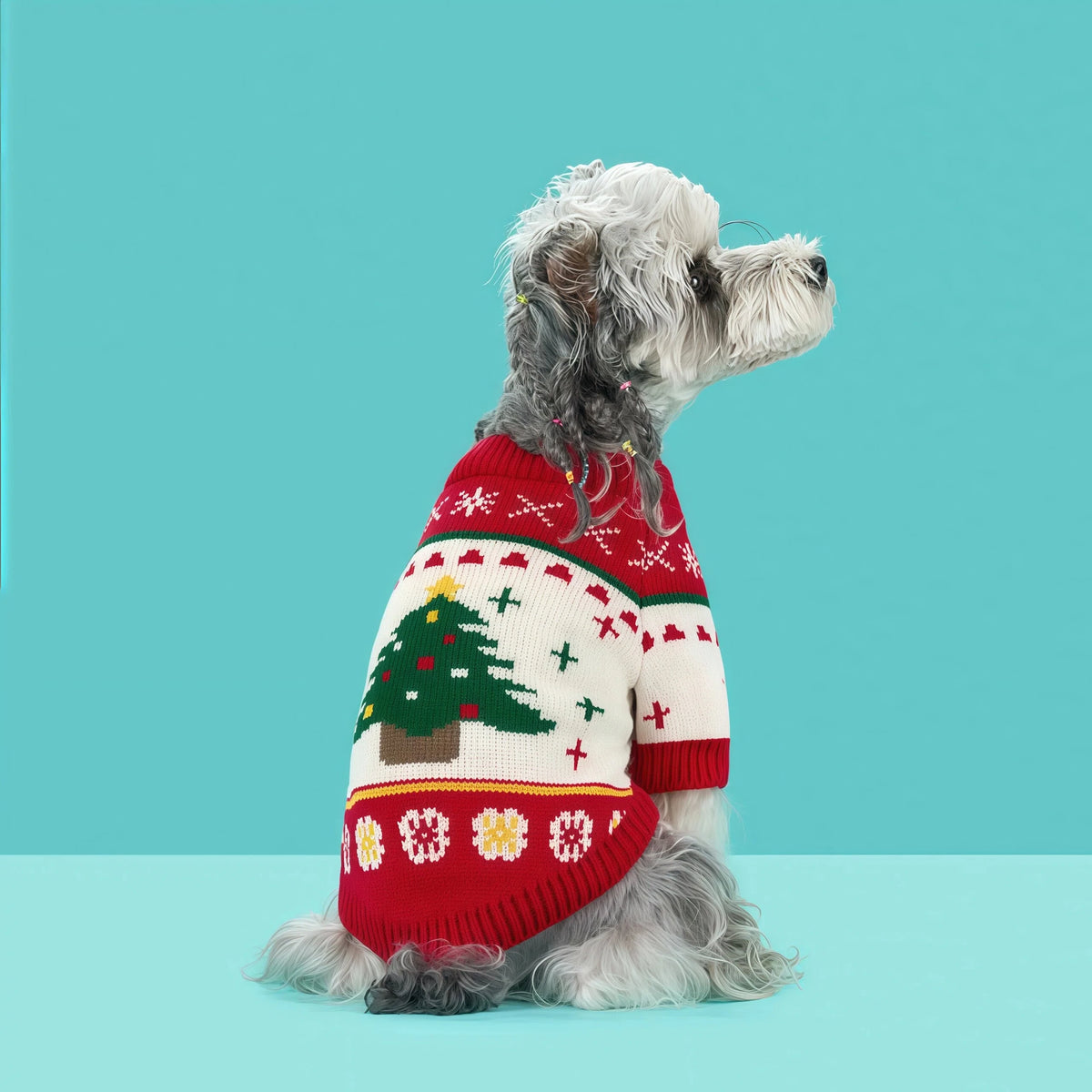 Warm Fall & Winter Pet Sweater for Small and Medium Dogs