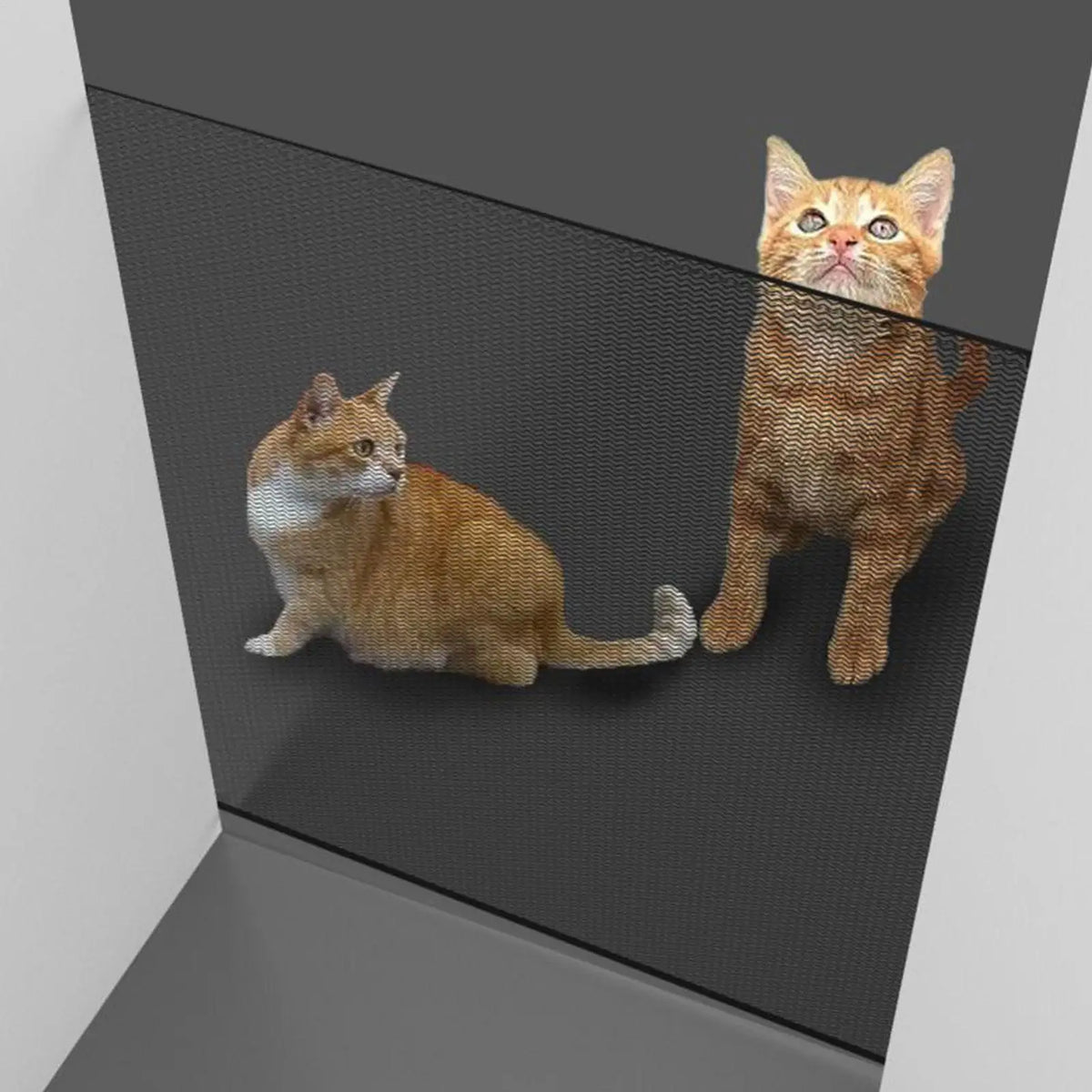 Retractable Mesh Pet Gate for Stairs & Doorways, Indoor Dog Barrier
