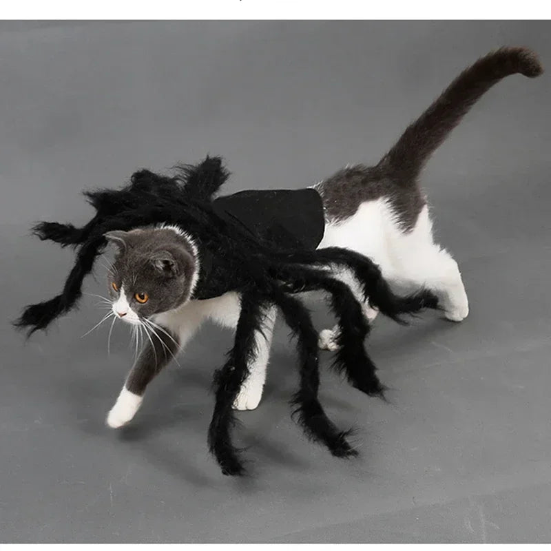 Furry Spider Costume for Dogs and Cats, Easy-On Halloween Pet Outfit