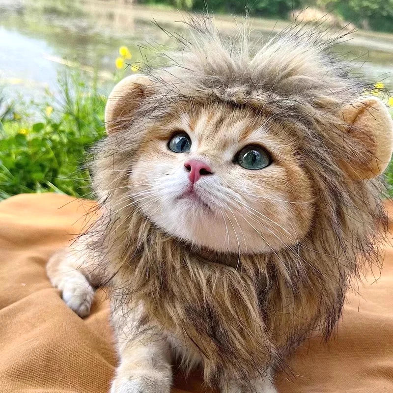 Halloween Lion Mane Wig Costume Hat with Ears for Cats & Small Dogs
