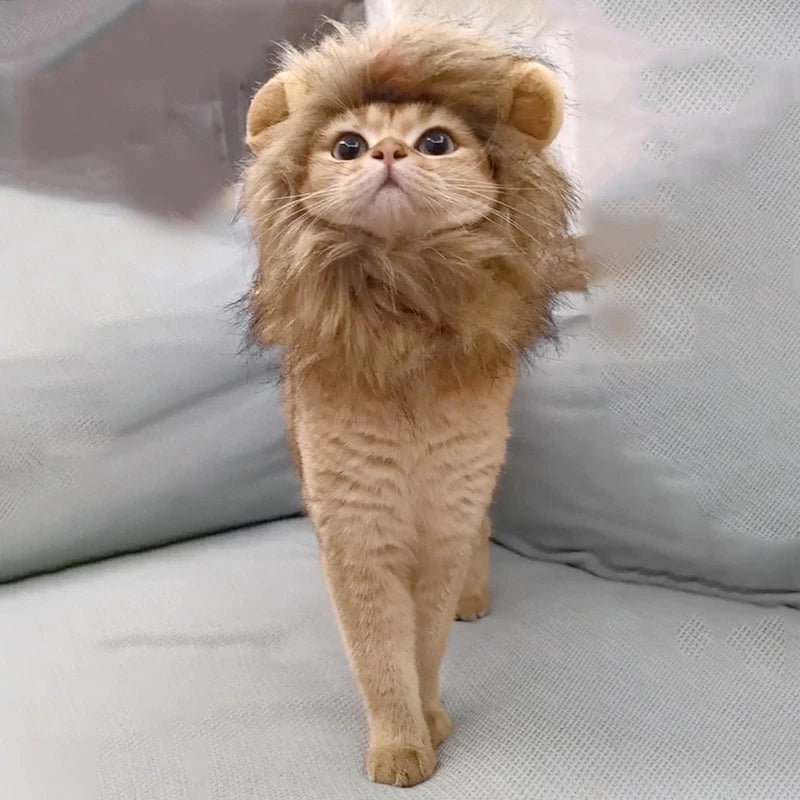 Halloween Lion Mane Wig Costume Hat with Ears for Cats & Small Dogs