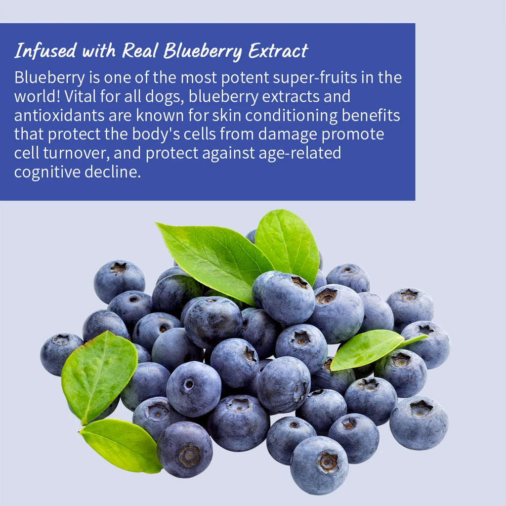 Blueberry Whitening Dog Shampoo for Bright, Shiny & Soft White Coats