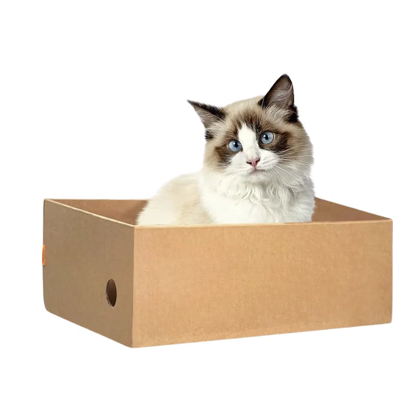 4-Pack Cardboard Cat Scratching Boxes for Indoor Cats and Kittens