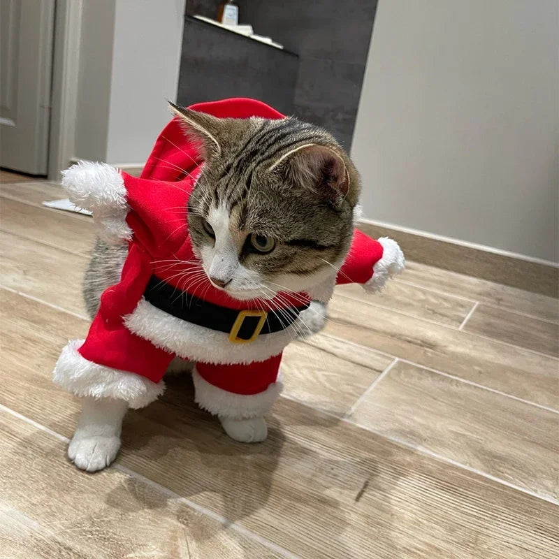 Dog Santa Claus Christmas Costume for Small Dogs & Cats