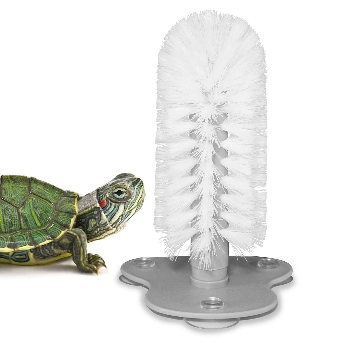 Turtle Shell Scrub Brush with Suction Cup for Easy Reptile Cleaning