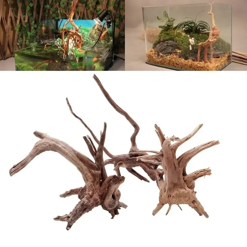 Natural Driftwood Tree Trunk Decor for Aquariums and Reptile Tanks