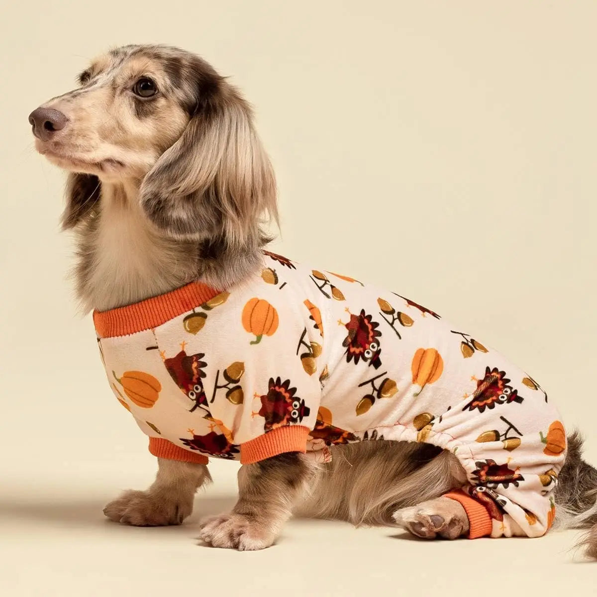 Turkey Dog Pajamas - Thanksgiving