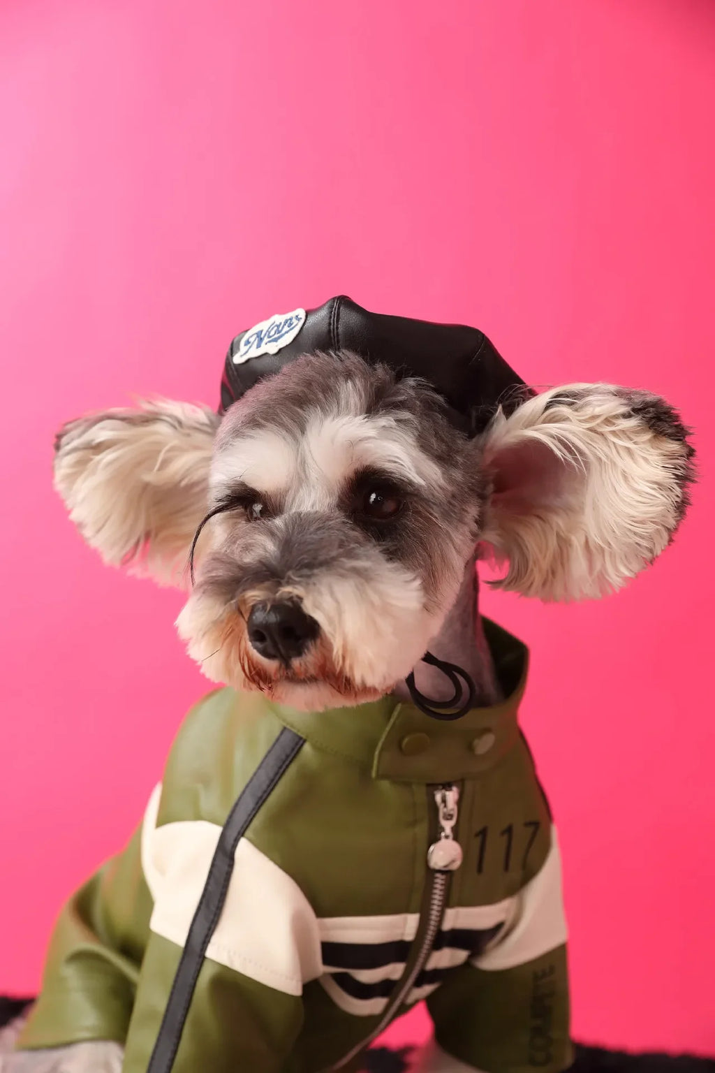 Faux Leather Pumpkin Hat for Dogs, Cute Fall Photo Prop Cap for Pets