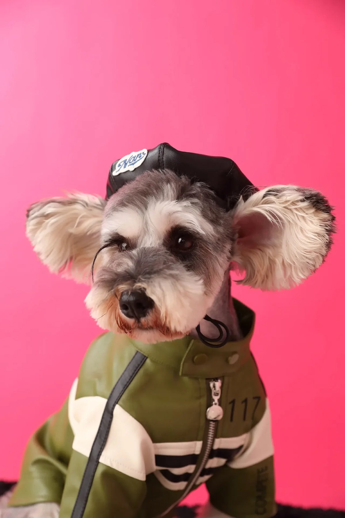 Faux Leather Pumpkin Hat for Dogs, Cute Fall Photo Prop Cap for Pets