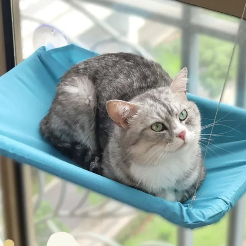 Wall-Mounted Cat Hammock with Climbing Frame, Holds Up to 44 lb