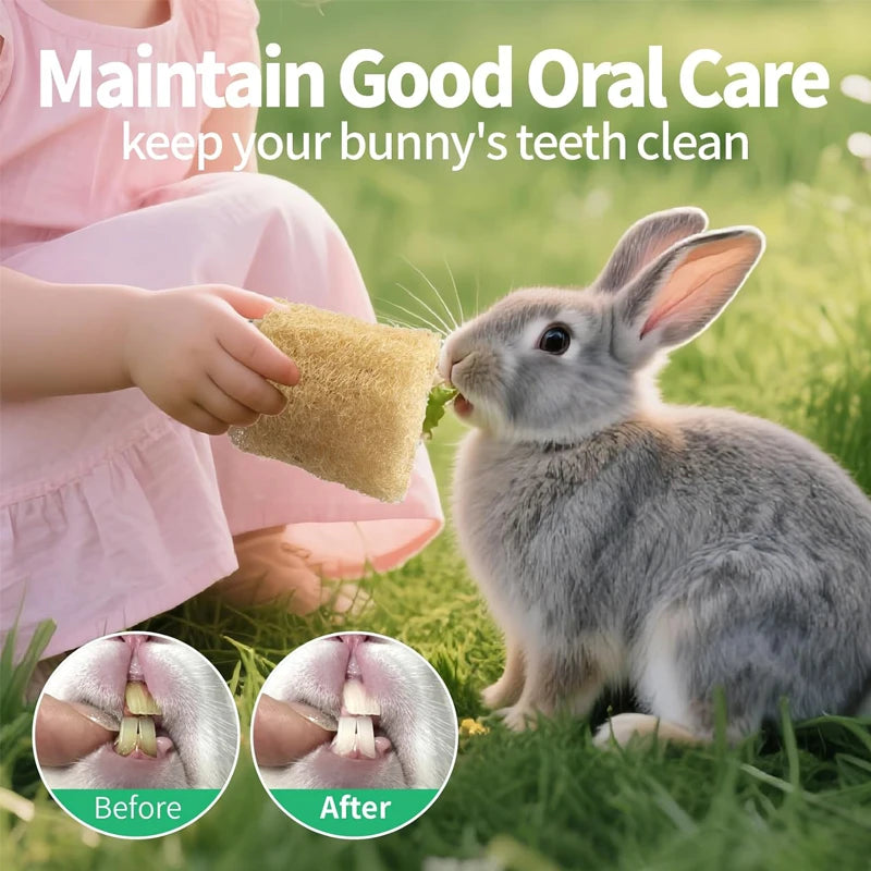 Natural Loofah Chew Toys for Rabbits & Chinchillas, 2-Pack