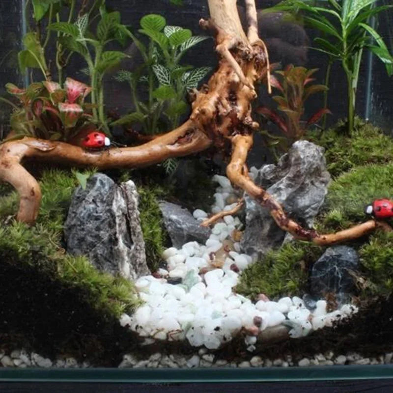 Natural Driftwood Tree Trunk Decor for Aquariums and Reptile Tanks