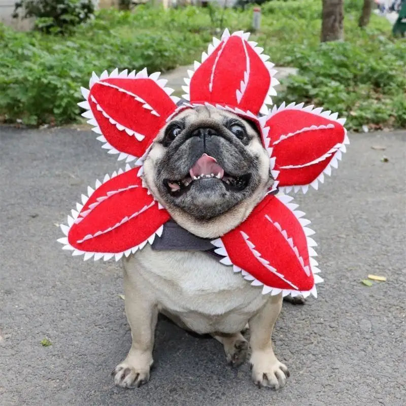 Scary Demogorgon Halloween Cat and Dog Hat Costume