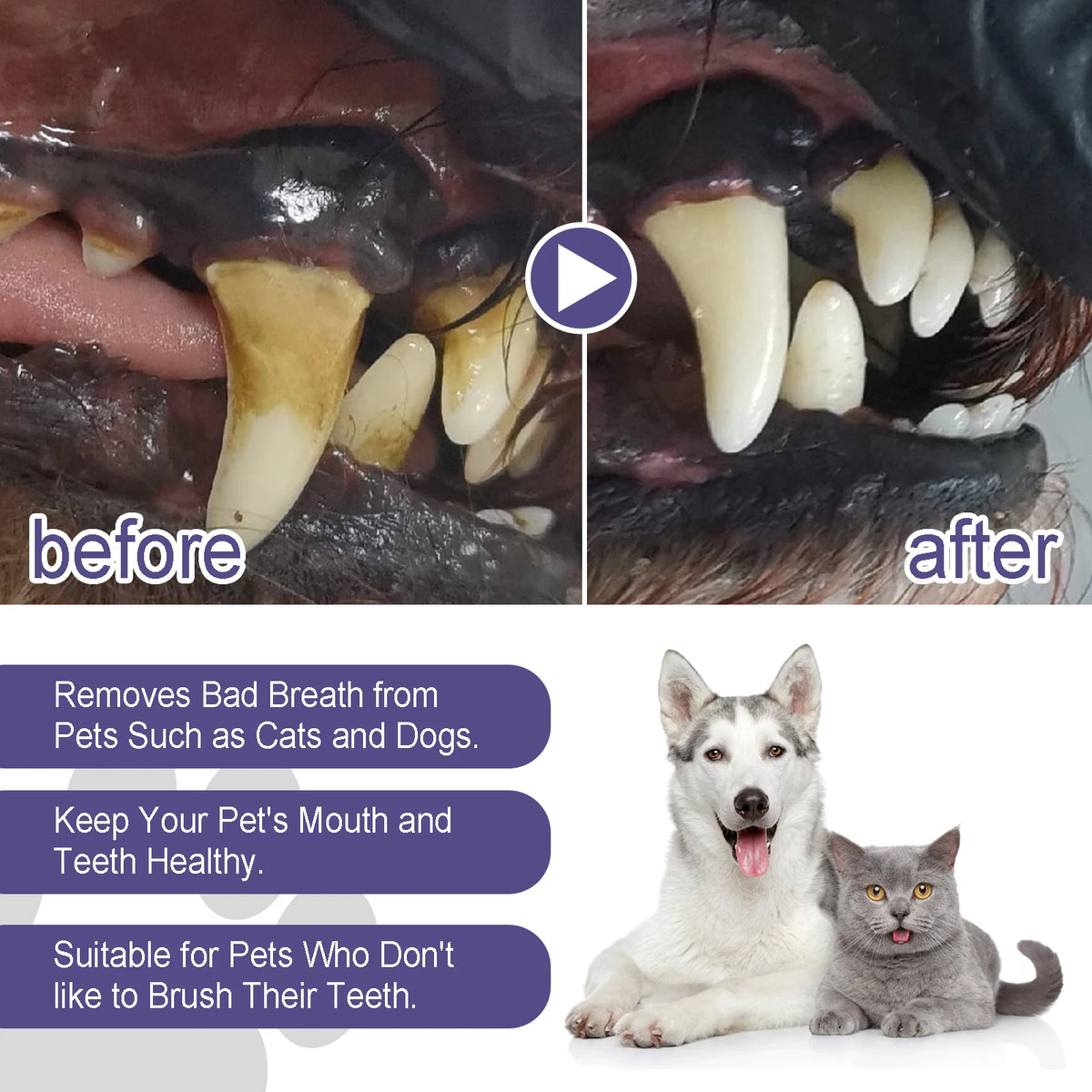 Pet Dental Care Gel Pen for Dogs & Cats, Fresh Breath Tartar Control