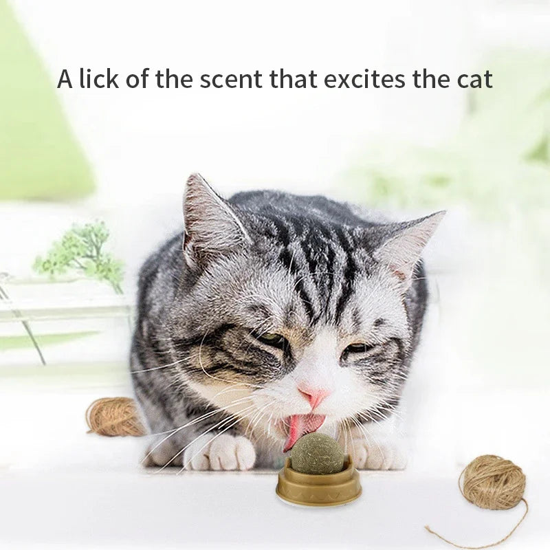 Natural Catnip Ball Wall Stick-on Cat Toy Teeth Cleaning Licking Ball
