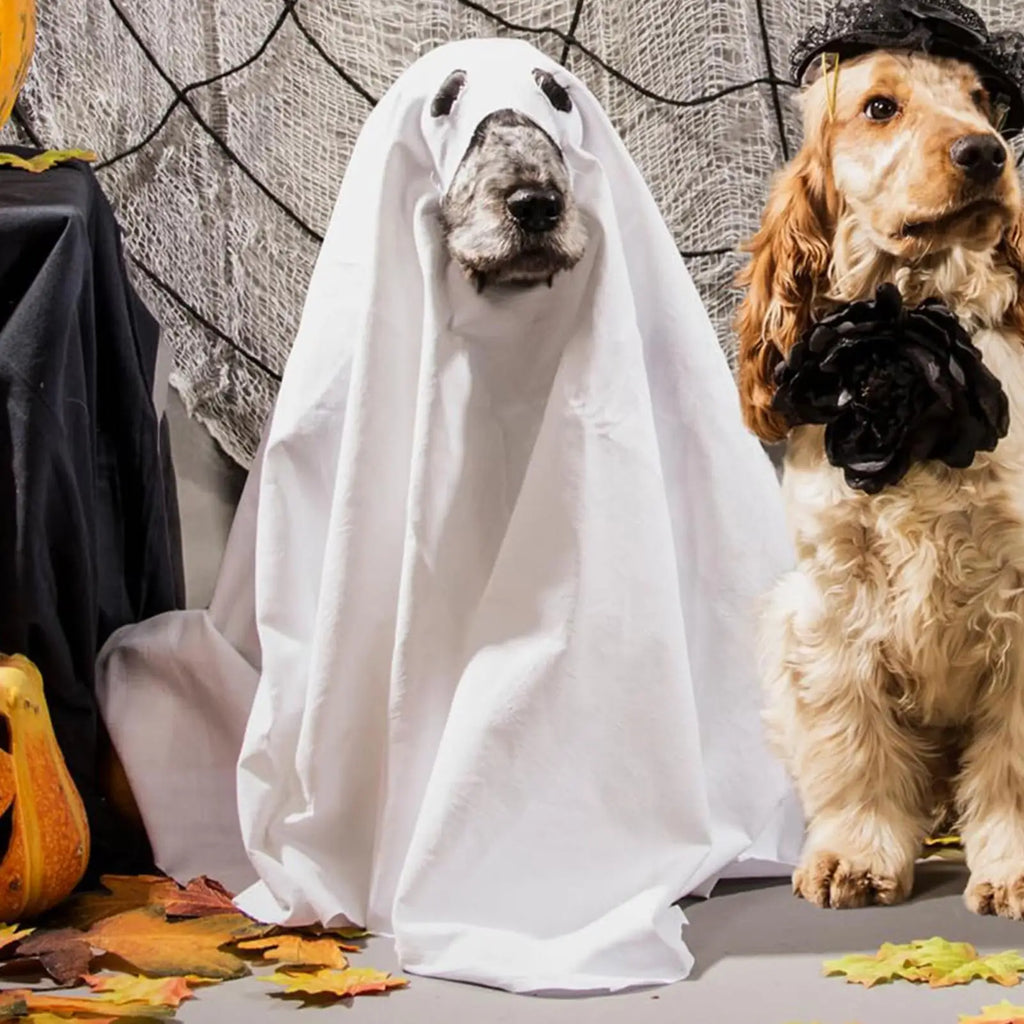 Dog Ghost Halloween Costume Cosplay Party Outfit for Pets