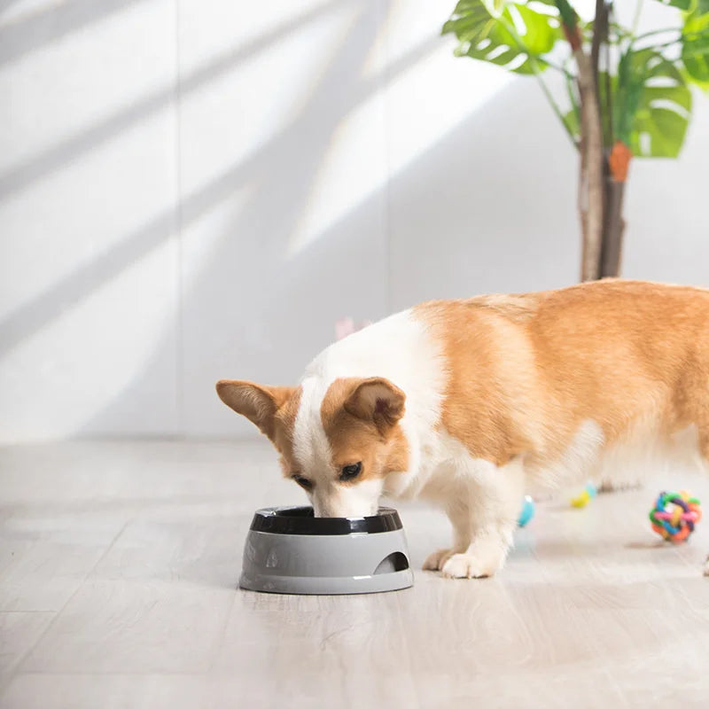 No-Spill Floating Pet Water Bowl, Portable Dog and Cat Bowl