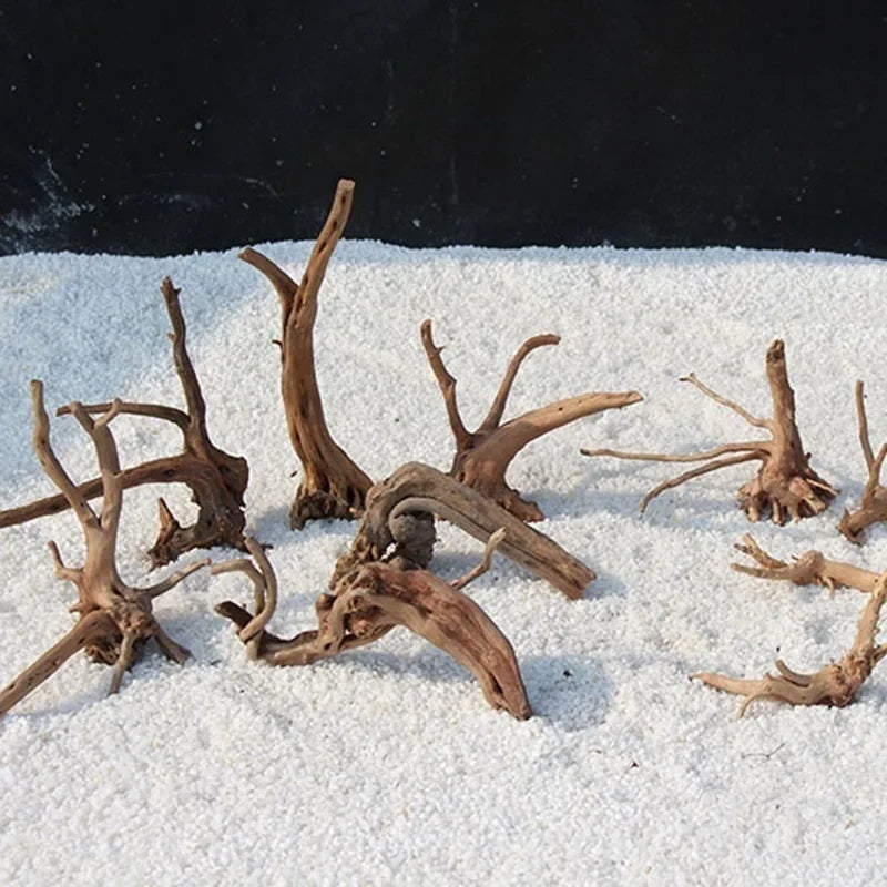 Natural Driftwood Tree Trunk Decor for Aquariums and Reptile Tanks