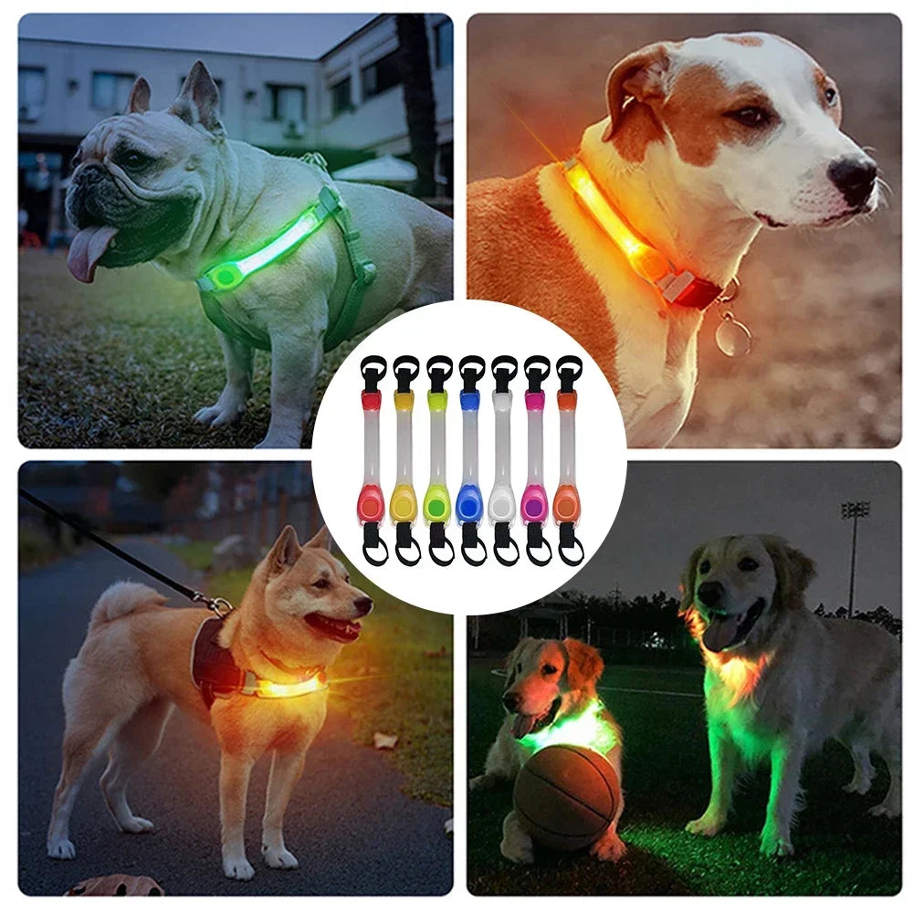 Glowing LED Anti-Lost Dog Collar with Pendant, Waterproof