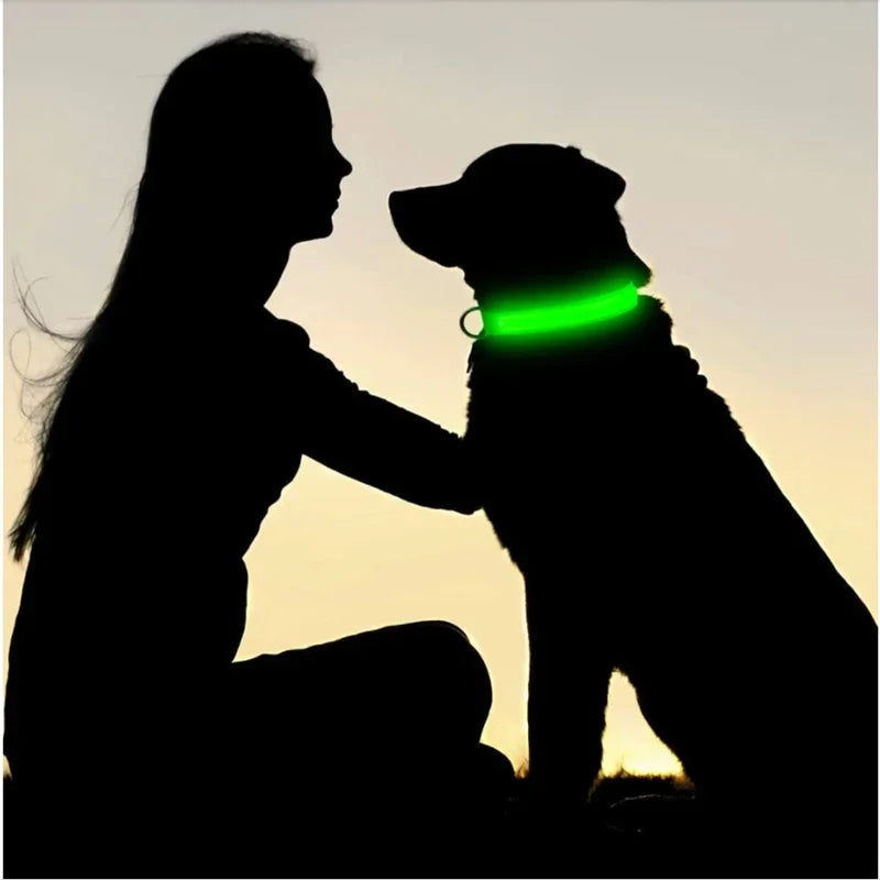 LED Glow Dog Collar – USB Rechargeable Night Safety Collar