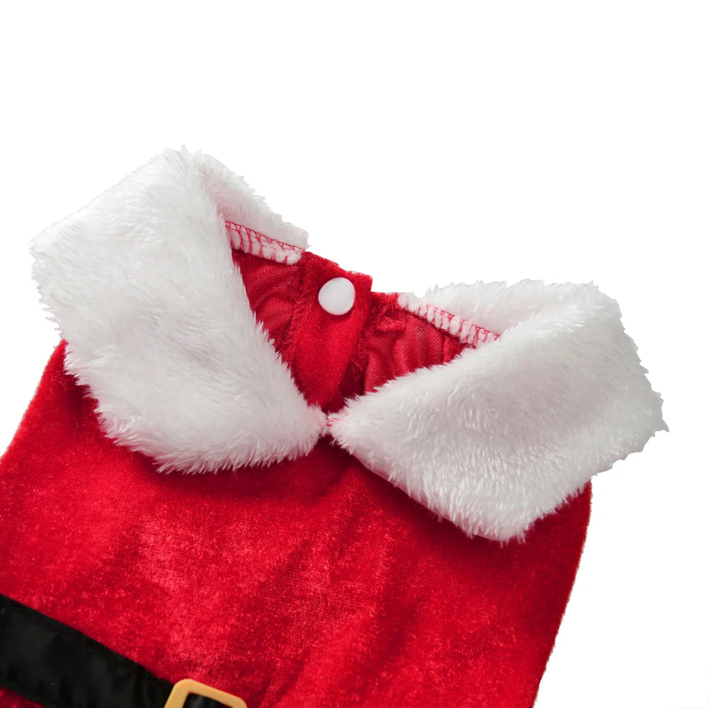 Christmas Dog Dress for Small Dogs & Cats, Santa Party Outfit