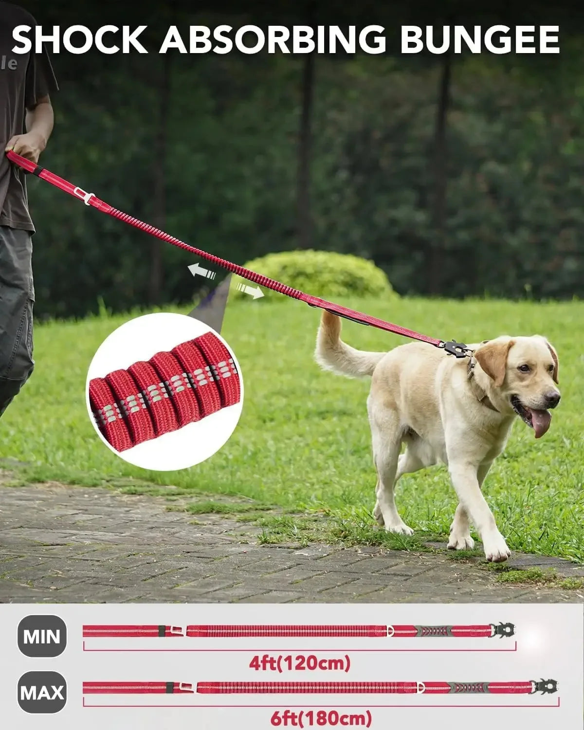 Heavy-Duty Tactical Bungee Dog Leash with 2 Padded Handles & Seatbelt