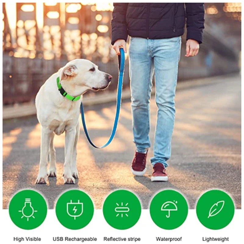 LED Glow Dog Collar – USB Rechargeable Night Safety Collar