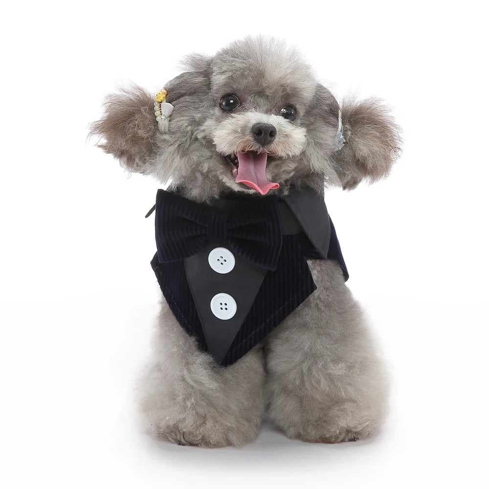 Dog Tuxedo Formal Suit, Christmas & Halloween Party Costume