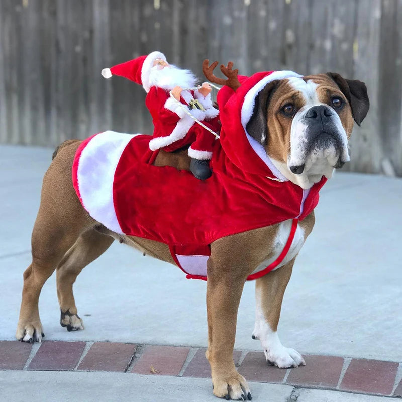 Santa Riding Dog Costume, Christmas Outfit for Dogs & Cats