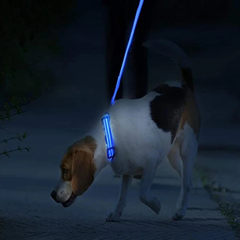 LED Glow Dog Collar – USB Rechargeable Night Safety Collar