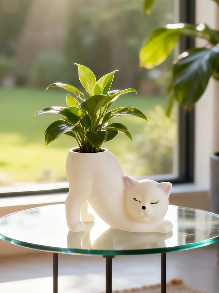 Curly Cat Resin Planter, Whimsical Kitty Pot for Succulents