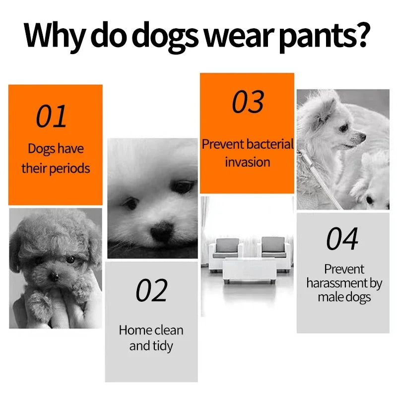 Washable Female Dog Diapers with Cute Cartoon Prints, Reusable