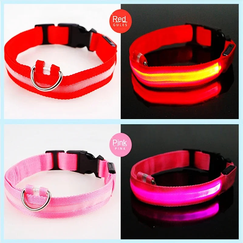 LED Glow Dog Collar – USB Rechargeable Night Safety Collar