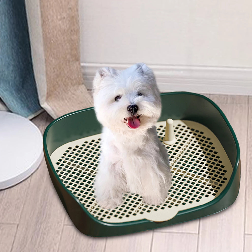Indoor Dog Potty Tray with Splash Wall, Pee Pad Holder for Puppies