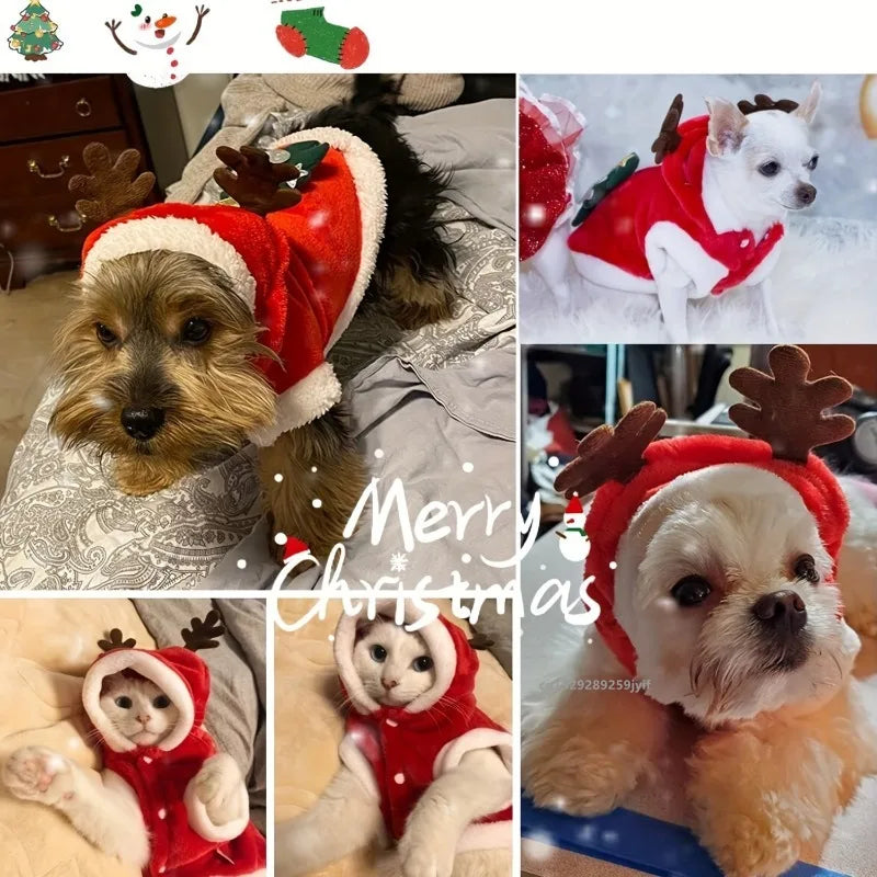 Christmas Dog Hoodie with Antlers, Festive Red Winter Pet Coat