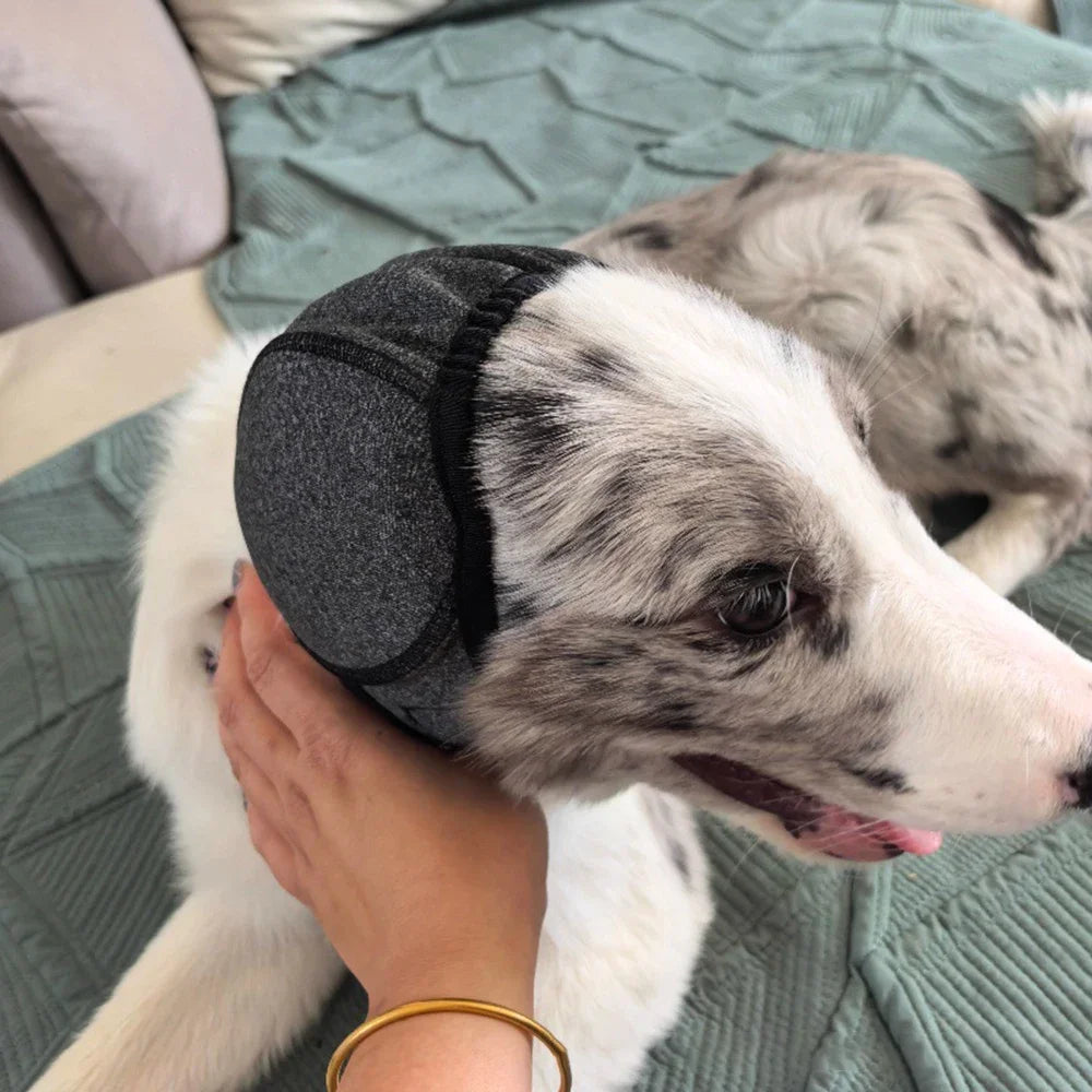 Adjustable Cat and Dog Pet Earmuffs, Noise-Reducing Ear Protectors