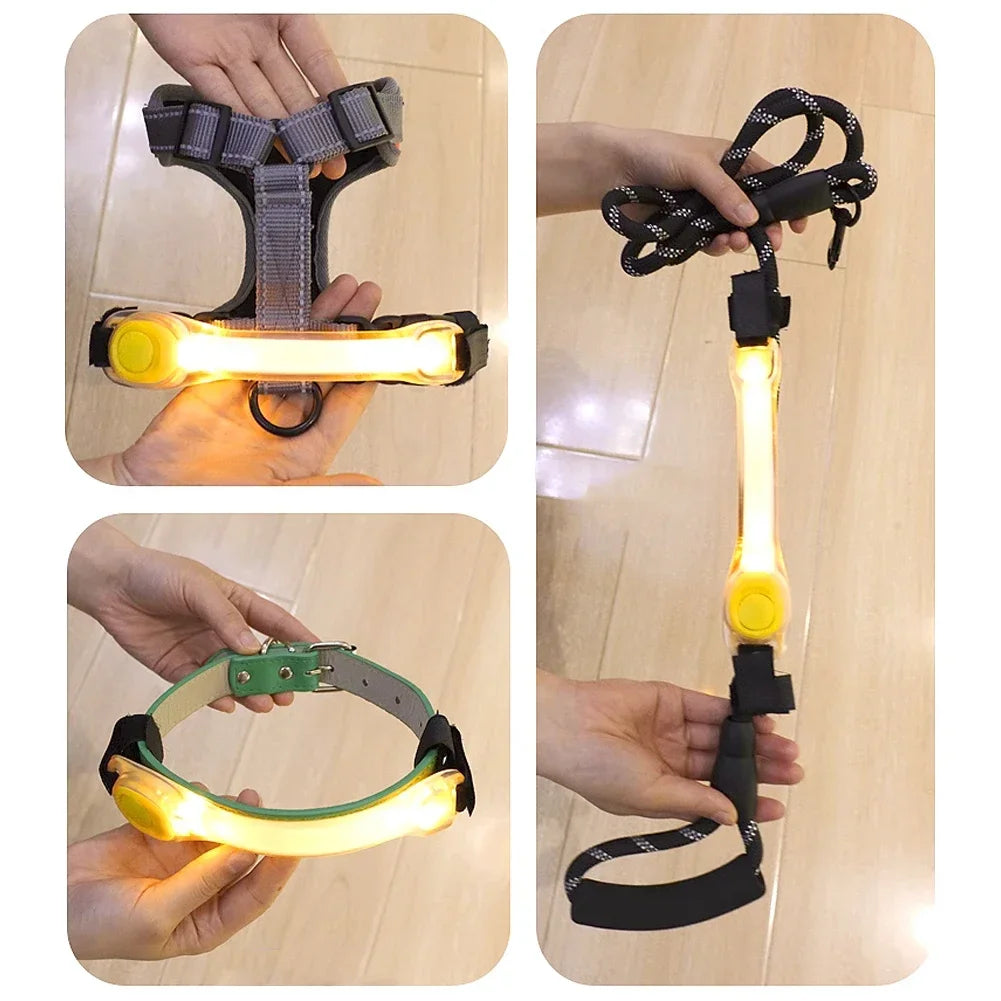Glowing LED Anti-Lost Dog Collar with Pendant, Waterproof