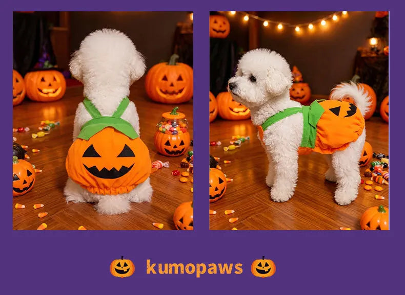 Halloween Pumpkin Overall Costume Dress for Small Dogs & Cats