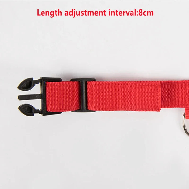 LED Glow Dog Collar – USB Rechargeable Night Safety Collar