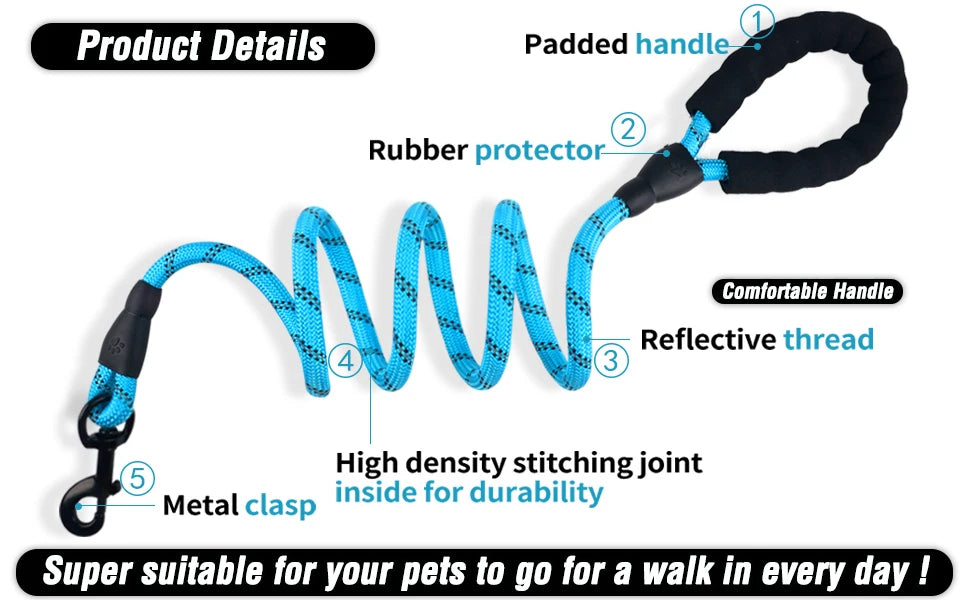 No-Tangle Double Dog Leash with Reflective Bungee for Two Dogs