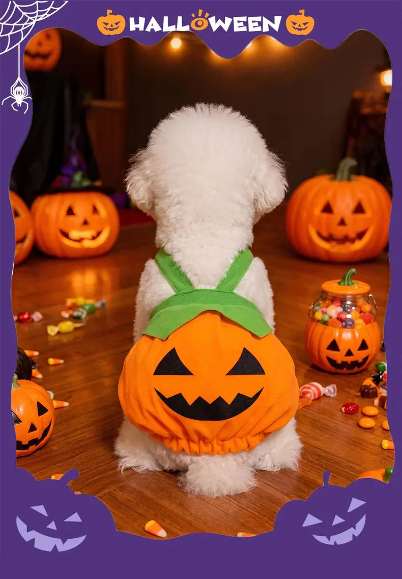 Halloween Pumpkin Overall Costume Dress for Small Dogs & Cats