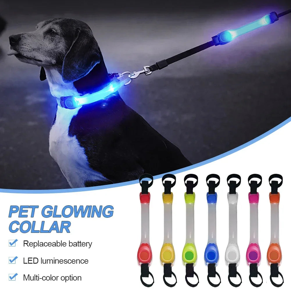 Glowing LED Anti-Lost Dog Collar with Pendant, Waterproof