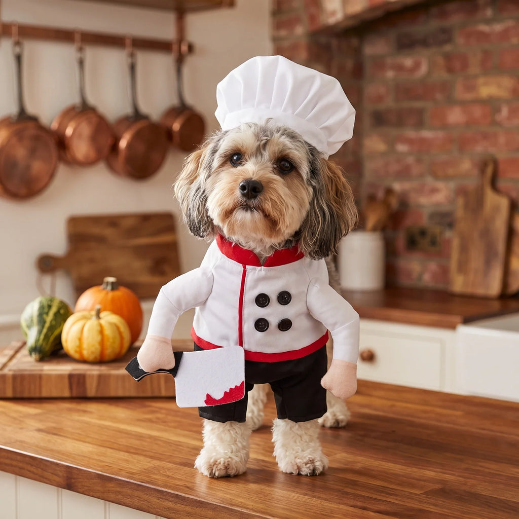 Funny Chef Pet Costume with Hat for Halloween Dress-Up Photos