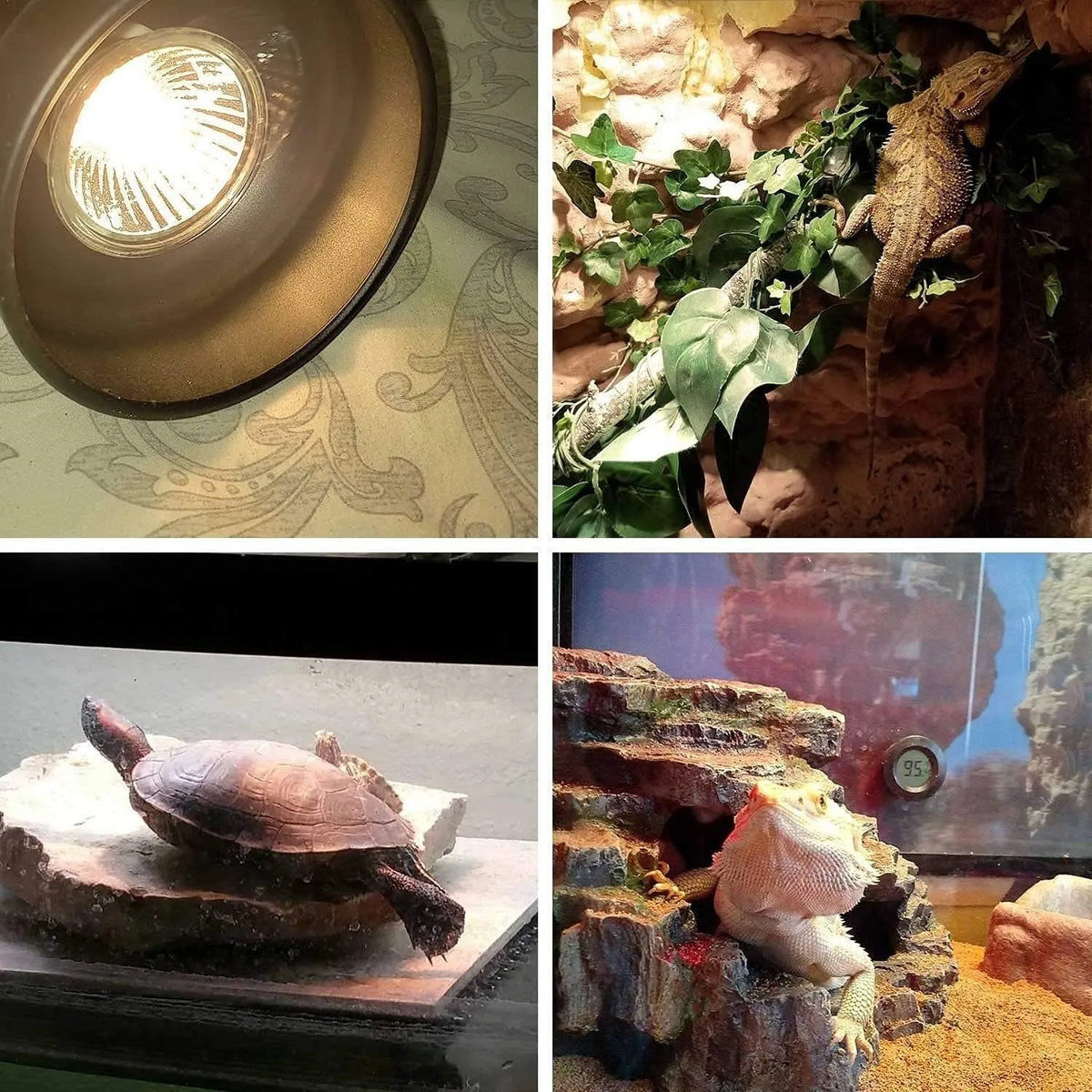 Full Spectrum UVA UVB Reptile Heat Lamp Bulb for Turtles and Snakes