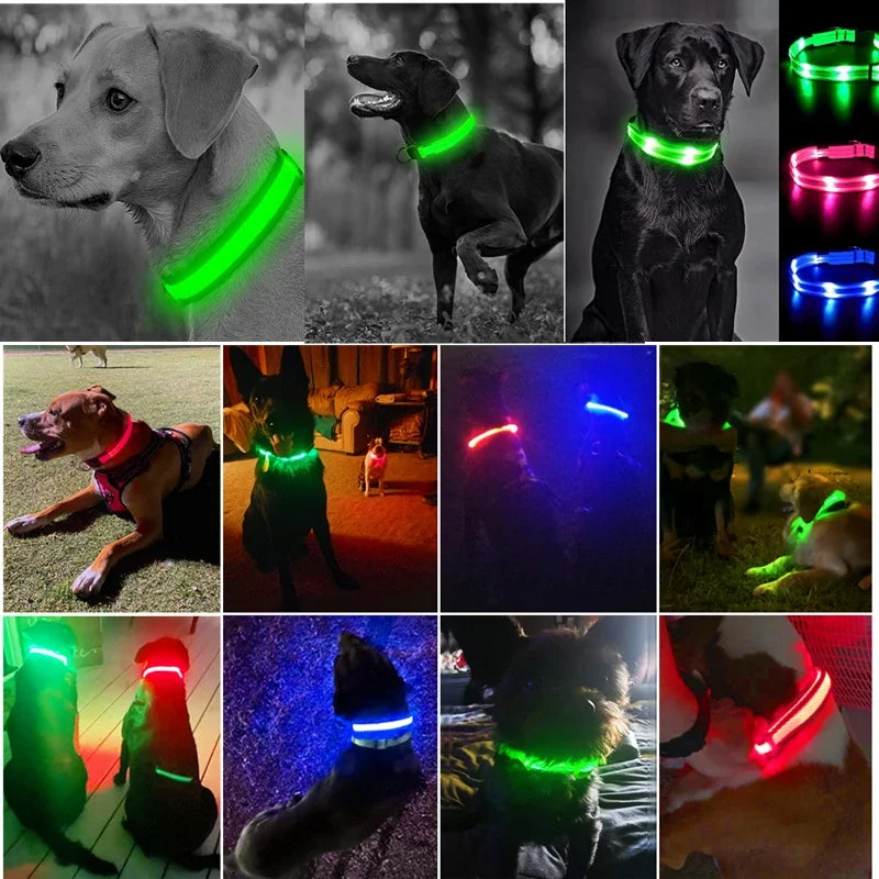 LED Glow Dog Collar – USB Rechargeable Night Safety Collar