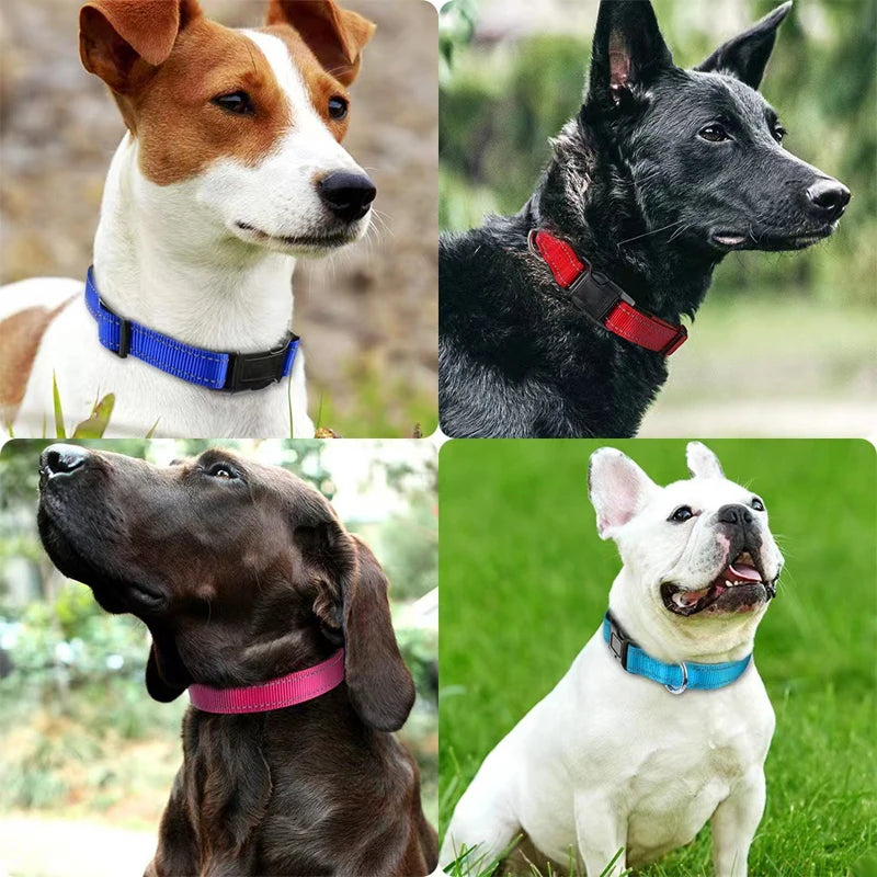 Padded Neoprene Reflective Dog Collar for Medium & Large Dogs