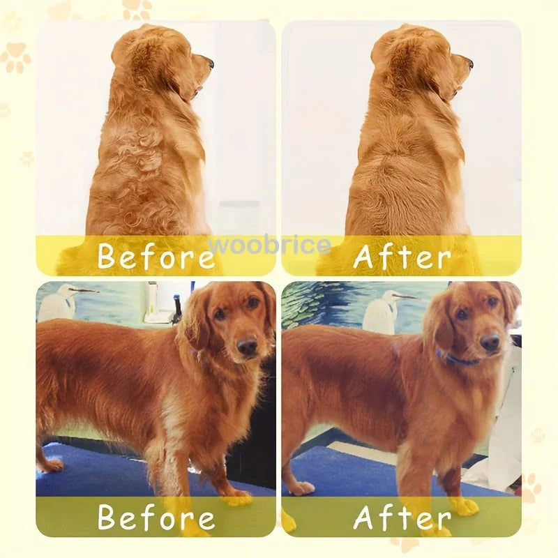 3-in-1 Electric Steam Grooming Brush for Dogs & Cats, Detangling
