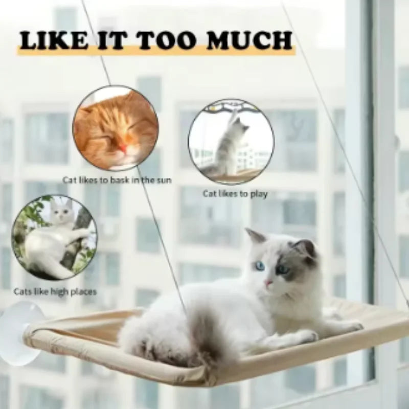 Wall-Mounted Cat Hammock with Climbing Frame, Holds Up to 44 lb