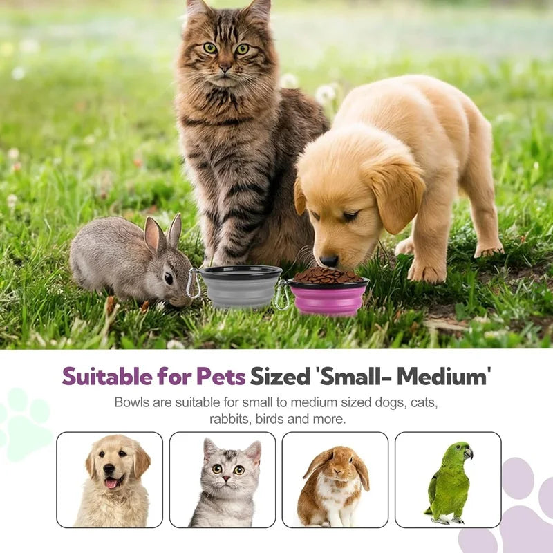 Portable Pet Food & Water Dispenser Bottle with Carabiner
